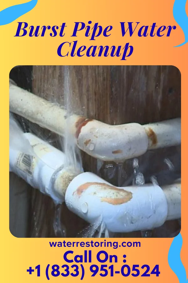 Burst Pipe Water Cleanup in Allenville, MO